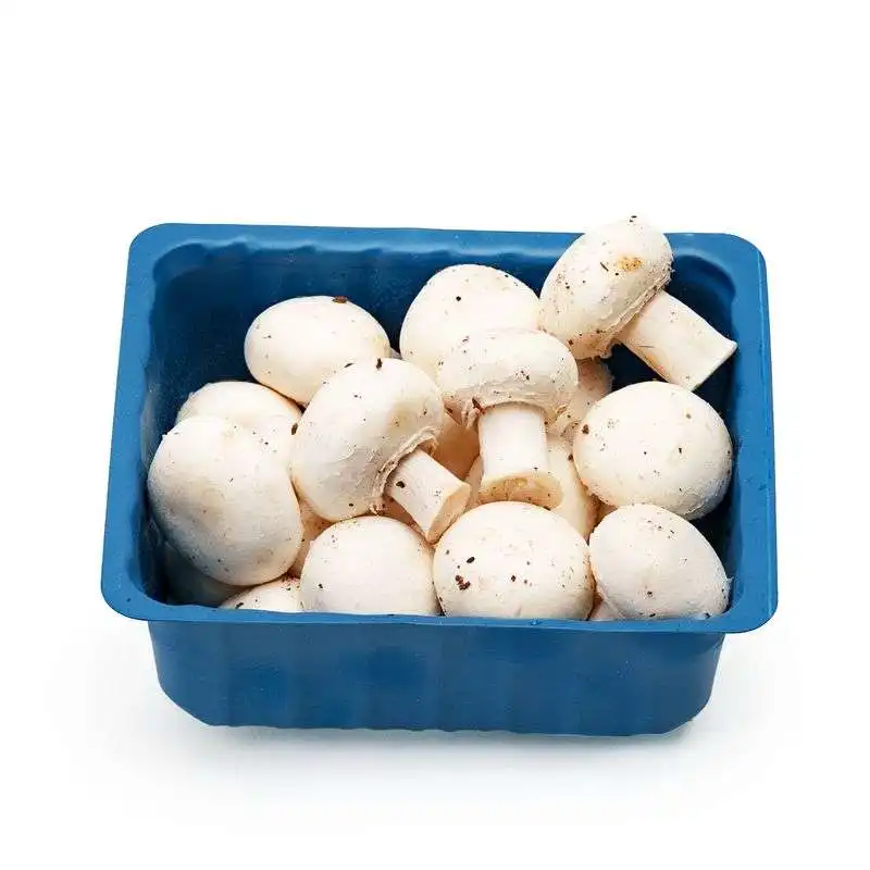 Mushroom Demand Rises